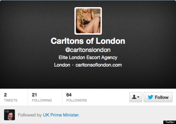 David Cameron Twitter escort agency
